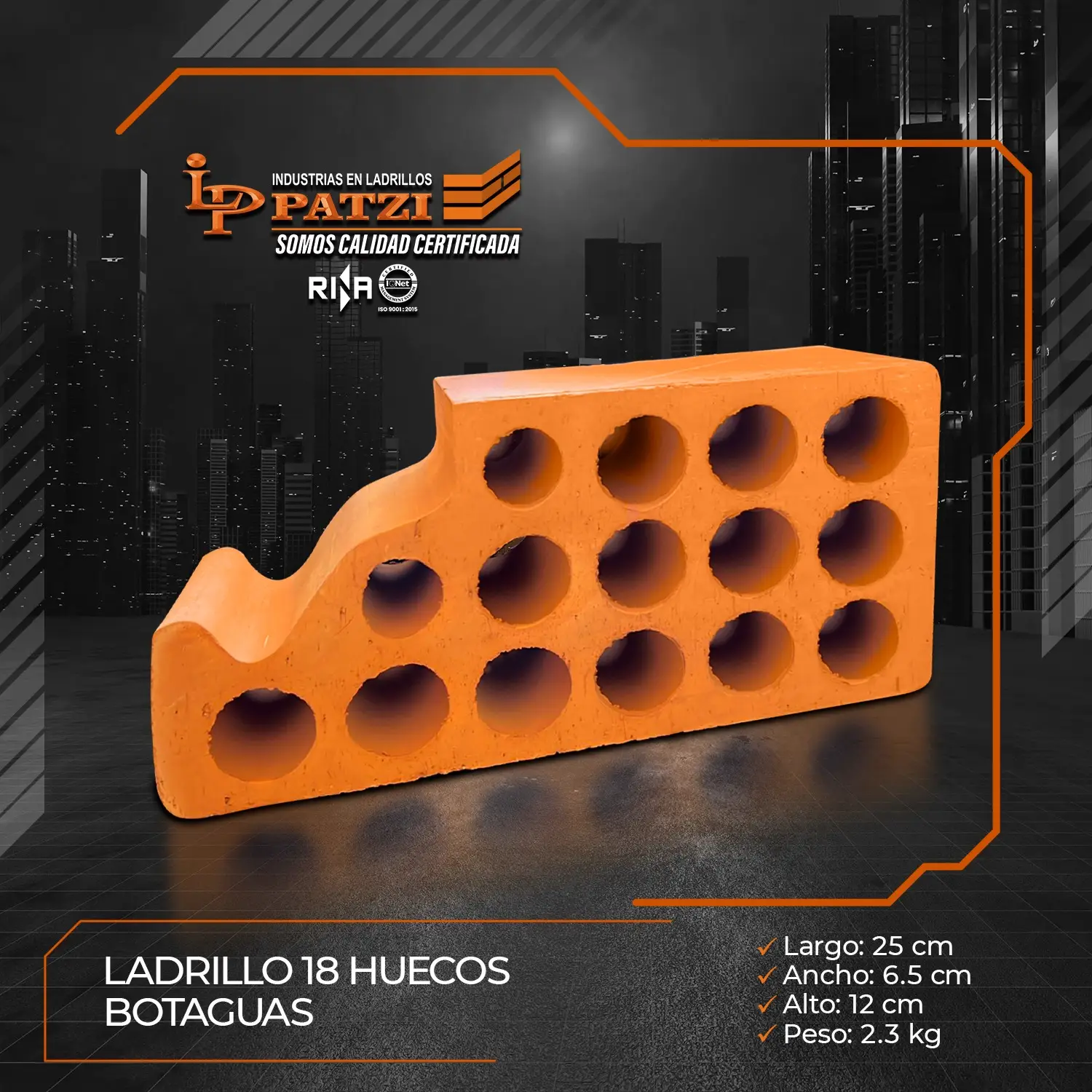 Imagen de la publicación